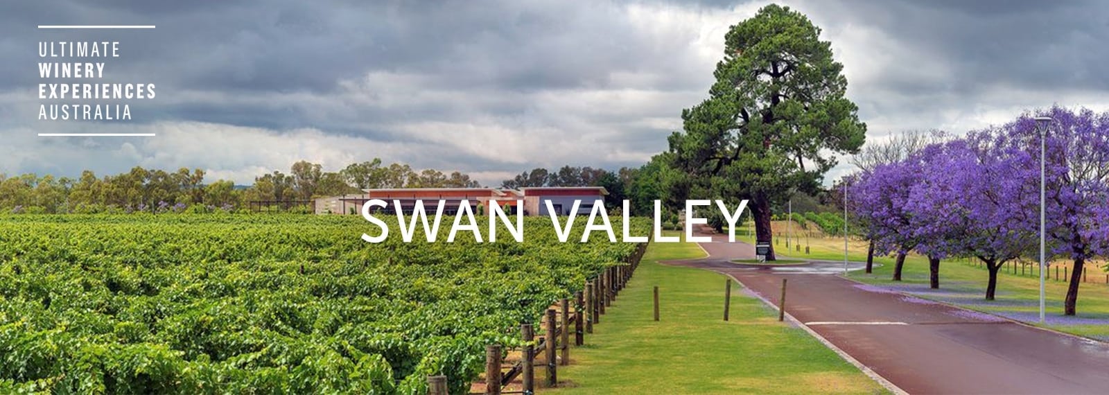 swan valley wine tour itinerary